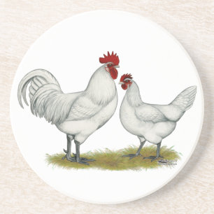Blue Foot Chickens Sandstone Coaster