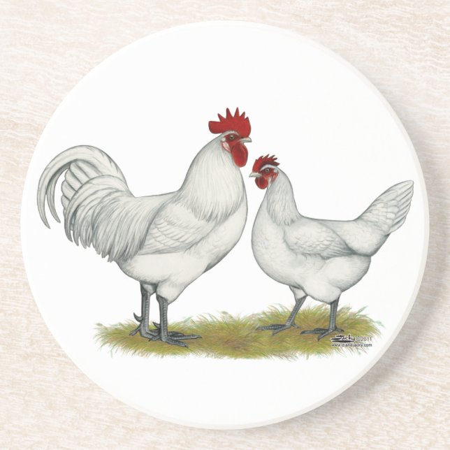 Blue Foot Chickens Sandstone Coaster (Front)