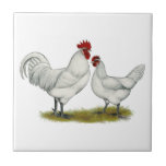 Blue Foot Chickens Tile
