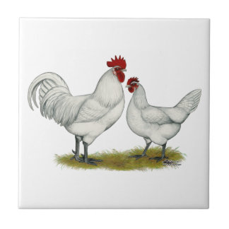 Blue Foot Chickens Tile
