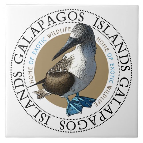 Blue Footed Bird Galapagos Islands Classic Round  Ceramic Tile