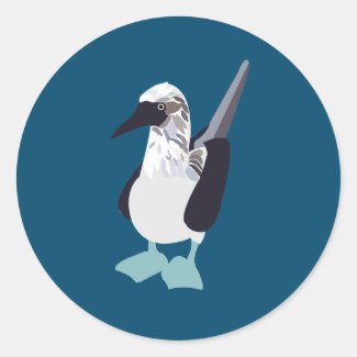 Blue-Footed Bird Seabird Illustration