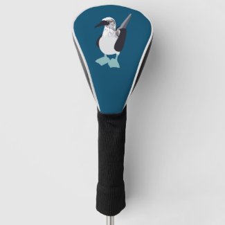 Blue-Footed Bird Seabird Illustration