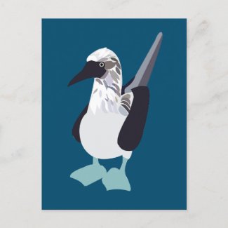 Blue-Footed Bird Seabird Illustration