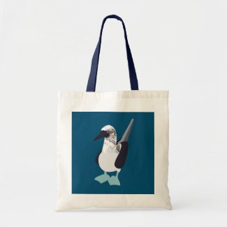 Blue-Footed Bird Seabird Illustration