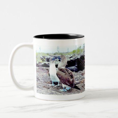 Blue Footed Boobies Native Galapagos Island Bird Two_Tone Coffee Mug