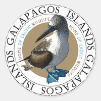 Blue Footed Booby Galapagos Islands