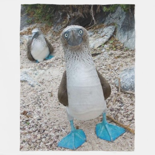 BLUE FOOTED BOOBY Honest that is its name Fleece Blanket