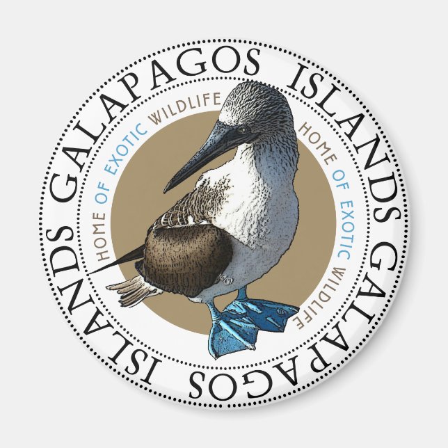 Blue Footed Booby magnet (Front)