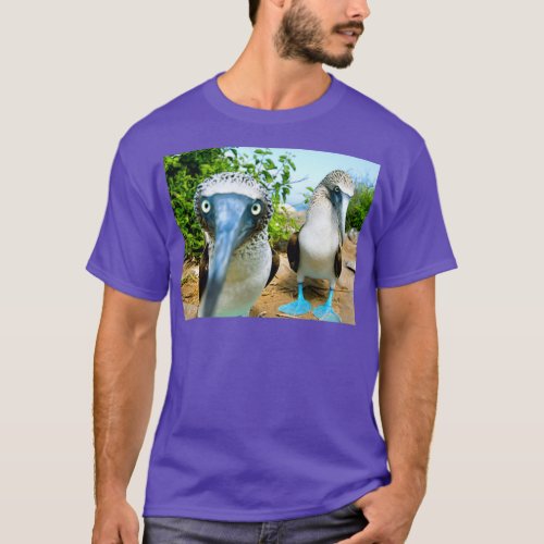 blue footed boobys T_Shirt
