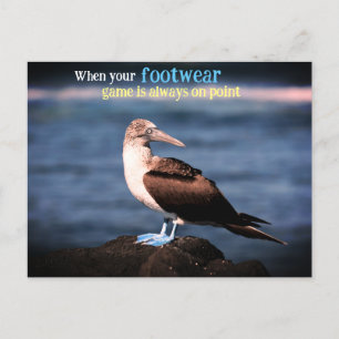 Blue footed gannet holiday postcard