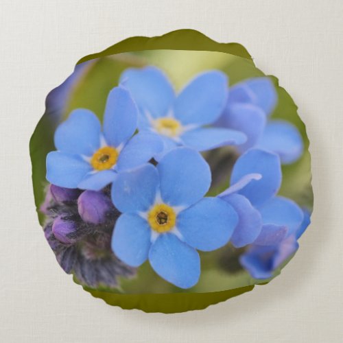 Blue Forget_Me_Not Flower Throw Pillow