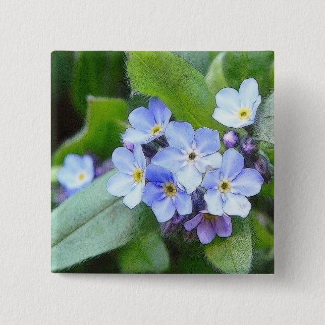 Blue Forget Me Not Flowers Button (Front)