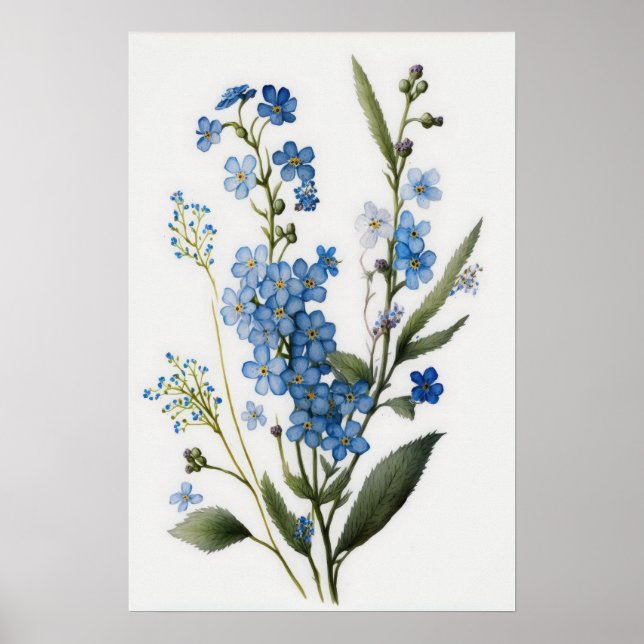 Blue Forget Me Nots Flower Art Print Poster (Front)