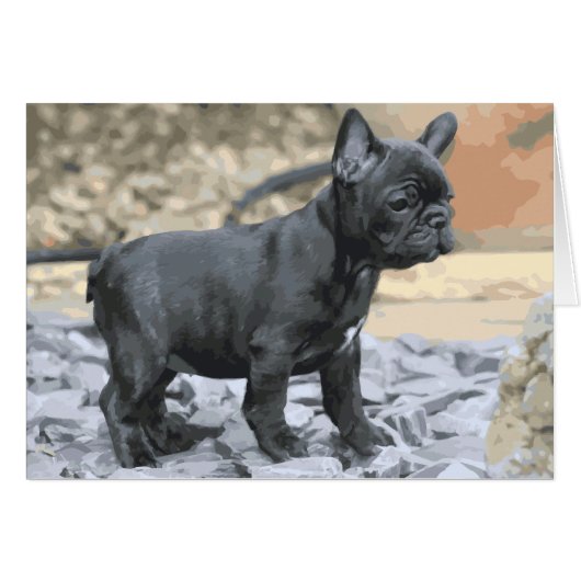 BLUE FRENCHIE CARDS (Front Horizontal)