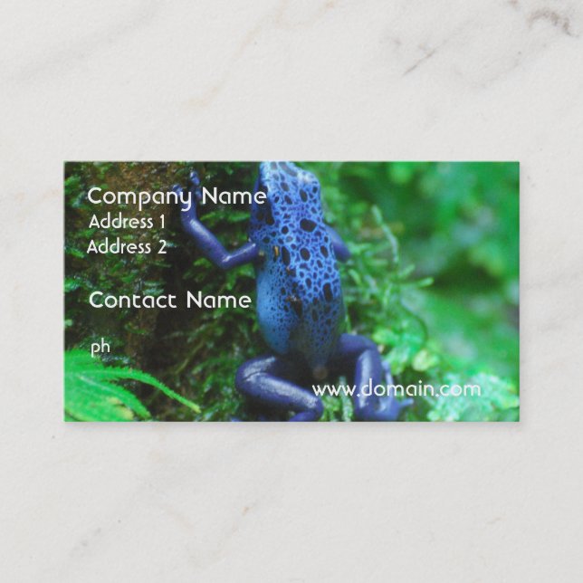 blue-frog-1.jpg business card (Front)
