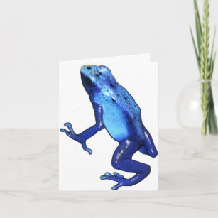 blue frog copy thank you card
