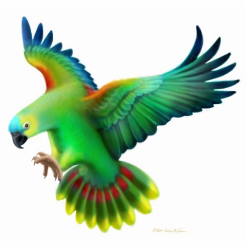 Blue Front Amazon Parrot Holiday Ornament