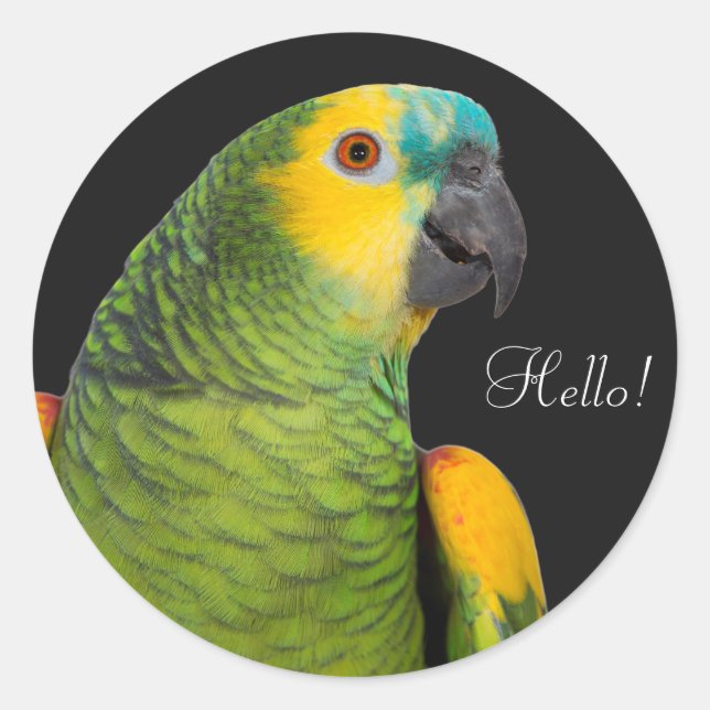 Blue-fronted Amazon Parrot Black Classic Round Sticker (Front)