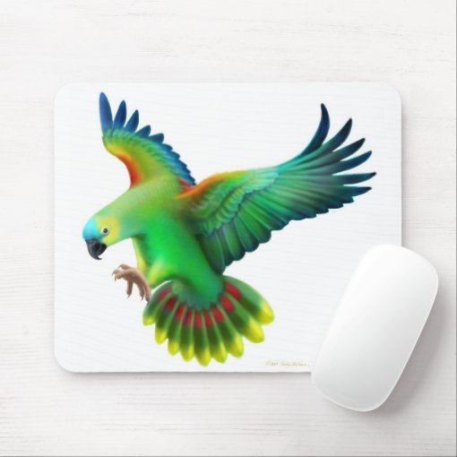 Blue Fronted Amazon Parrot Mousepad | Zazzle