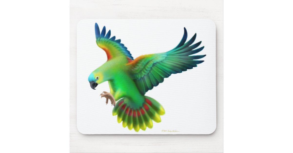 Blue Fronted Amazon Parrot Mousepad | Zazzle