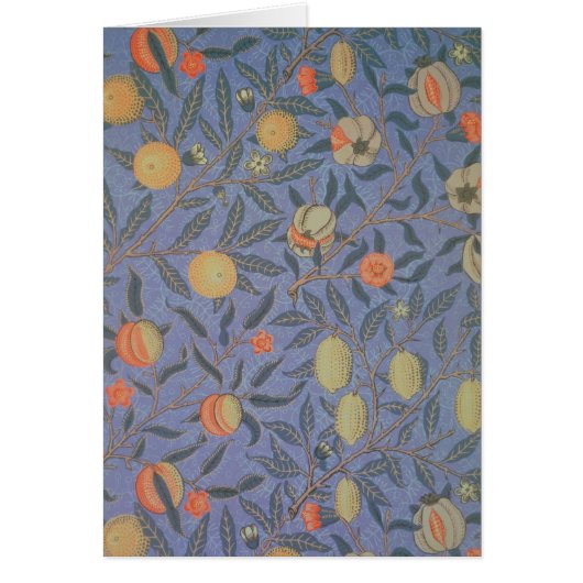 Blue Fruit' or 'Pomegranate' (Front)