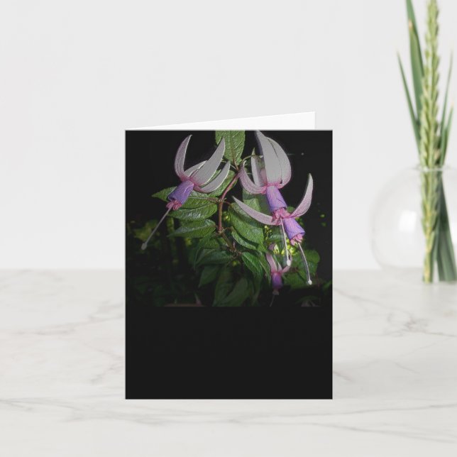 Blue Fushia Note Card (Front)