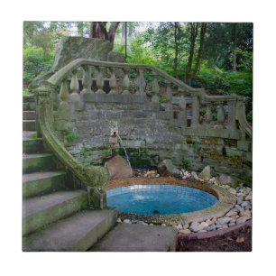 Blue Garden Fountain Tile