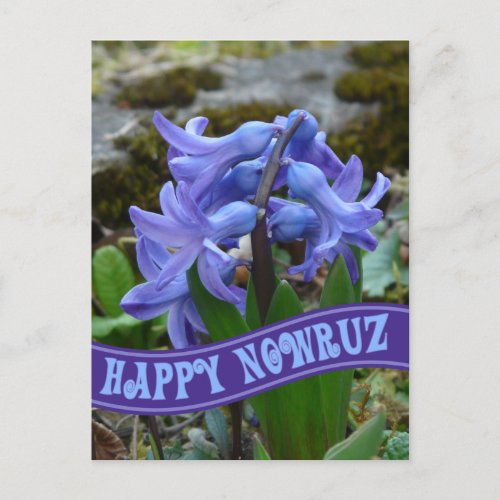 Blue Garden Hyacinth Iranian New Year Nowrooz Holiday Postcard