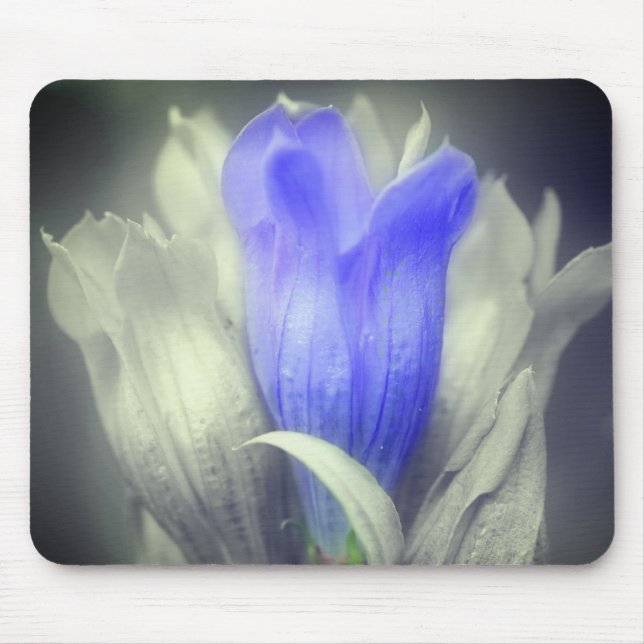 Blue Gentian Flower Black And White  Mouse Pad (Front)