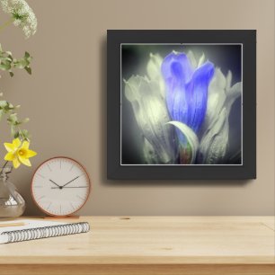 Blue Gentian Flower Black And White Partial Framed Art