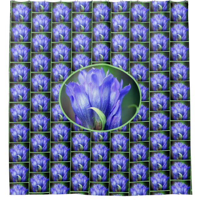 Blue Gentian Flower Pattern    Shower Curtain (Front)