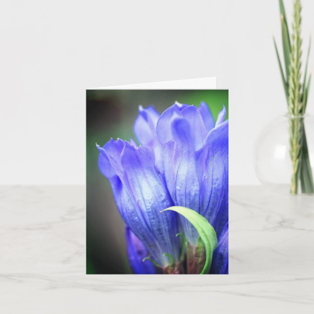 Blue Gentian Flower Photography  Note Card (Front)