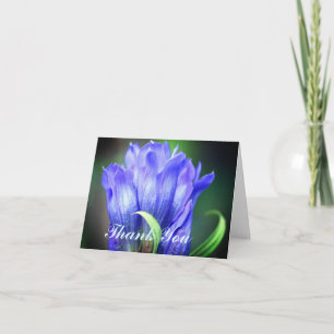 Blue Gentian Flower Thank You Card
