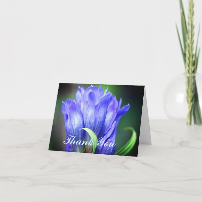 Blue Gentian Flower Thank You Card (Front)