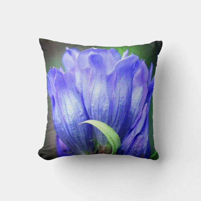 Blue Gentian Flower   Throw Pillow (Front)
