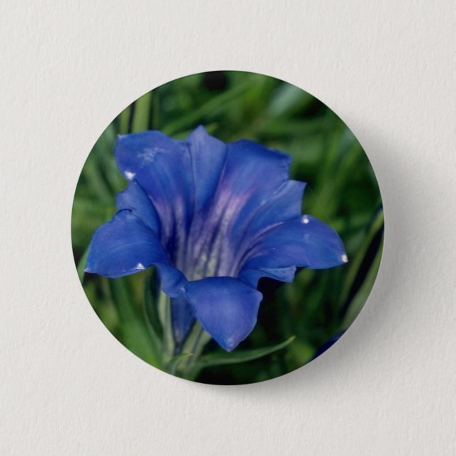 Blue Gentian flowers Button (Front)