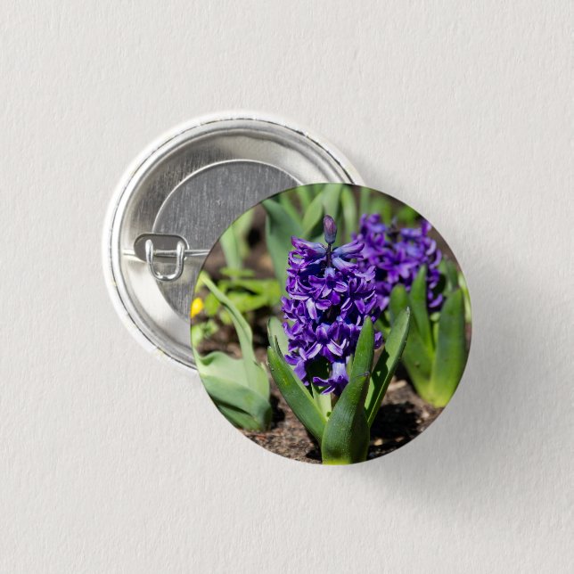 Blue Geocinth in spring   Button (Front & Back)