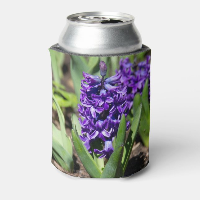 Blue Geocinth in spring   Can Cooler (Can Back)