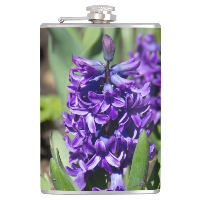 Blue Geocinth in spring   Flask (Front)
