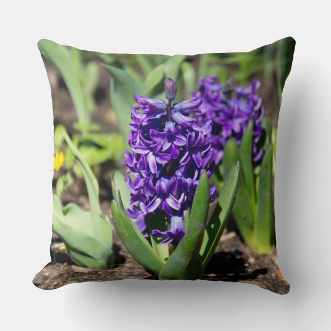 Blue Geocinth in spring  Throw Pillow (Front)