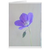 Blue Geranium (Front)