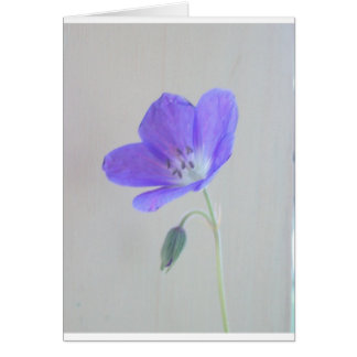 Blue Geranium Cards