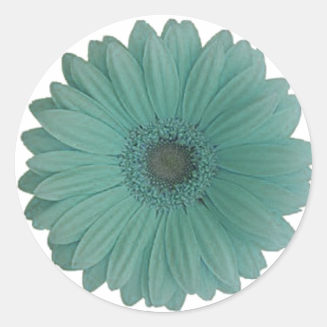 blue gerber daisy classic round sticker (Front)