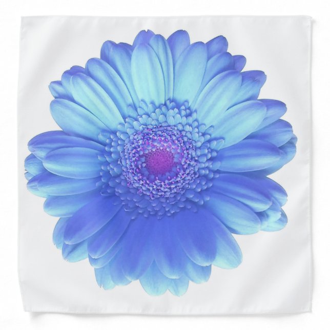Blue gerbera daisy bandana (Front)
