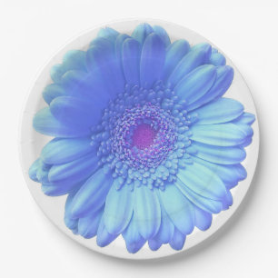 Blue gerbera daisy paper plates