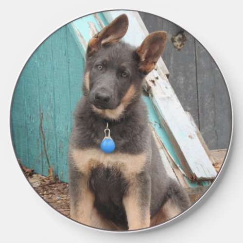 Blue German Shepherd Dog Teal Wood Wireless Charger