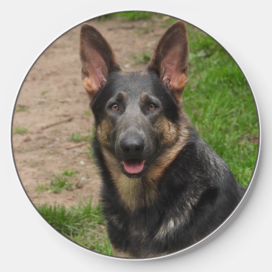 Blue German Shepherd Dog Wireless Charger (Front)