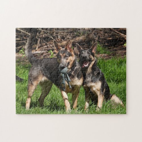 Blue German Shepherd Duo Jigsaw Puzzle