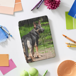 Blue German Shepherd iPad Pro Cover